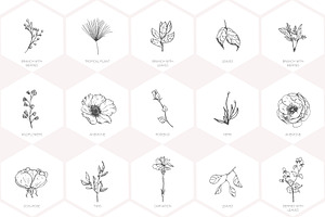 Hand Drawn Floral Logo Elements