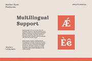 Hallen - Modern Classic Font, a Serif Font by Edignwn Type (Thumbnail 11 of 12)