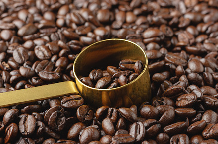 Coffee beans in a golden spoon