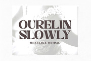 Nelona Serif, a Serif Font by Megatype (Thumbnail 5 of 11)