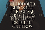Miles - Elegant Serif, a Serif Font by Thunder Studio (Thumbnail 5 of 7)