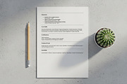 ATS Friendly Resume For Teacher, a Resume Template by SmmrDesign (Thumbnail 5 of 8)