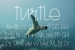 Turtle