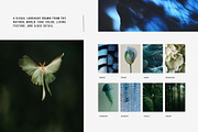 Cool nature | 325 stock photos, a Background Photo by Tale.Haus (Thumbnail 6 of 19)