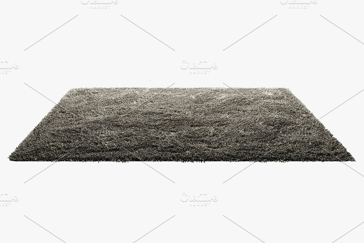 Carpets with long nap 3d model, a Furniture 3D Model by 3dmitruk (Photo 3 of 8)