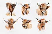 Highland cow, Highland cow 25 PNG, an Animal Illustration by Illustrator Space (Thumbnail 4 of 6)