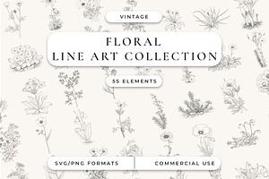 Botanical Floral Line Art Collection