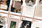 Dog Training Instagram Templates, a Social Media Template by EliteMatidi (Thumbnail 7 of 8)