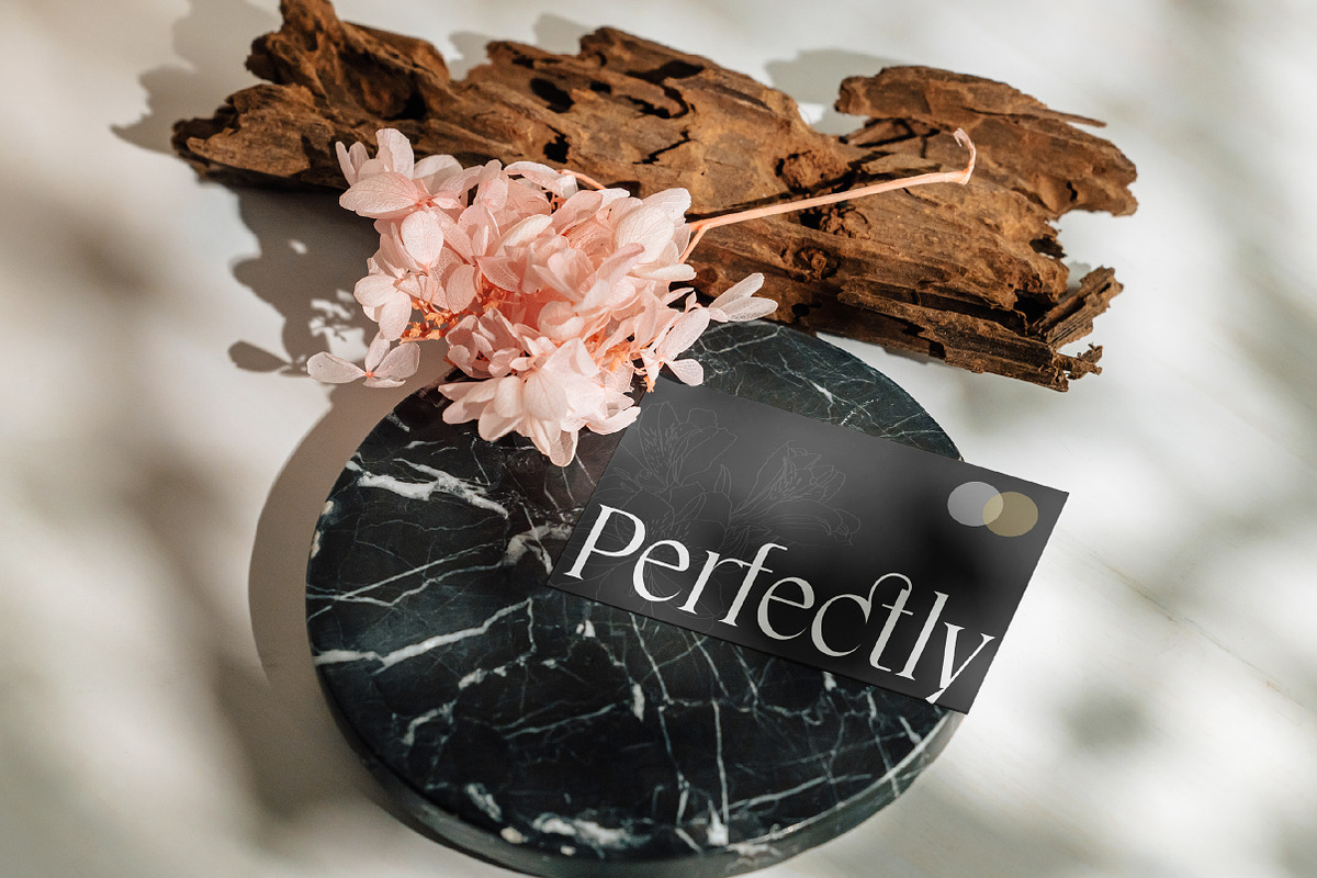 Cardival – Modern Luxury Bold Serif, a Serif Font by Lettertype Studio (Photo 4 of 11)