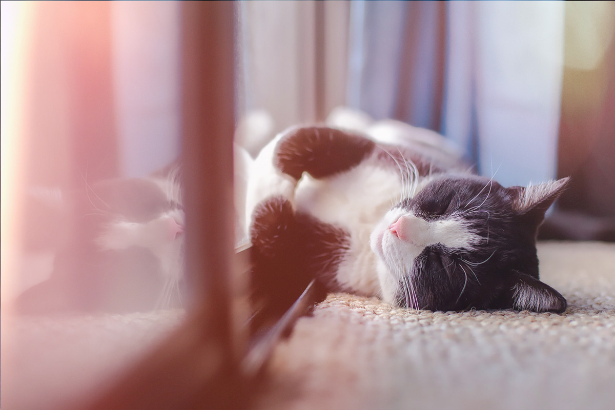 Film Light Leaks Overlays, an Action Add-On by PhotoSpirit (Photo 6 of 7)