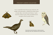Twilight Garden Vintage Collection, a Decorative Illustration by StudioLapis (Thumbnail 2 of 8)
