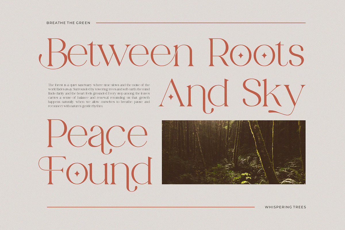 Triklen Care || Modern Vintage Serif, a Serif Font by Ermedia Studio (Photo 3 of 10)