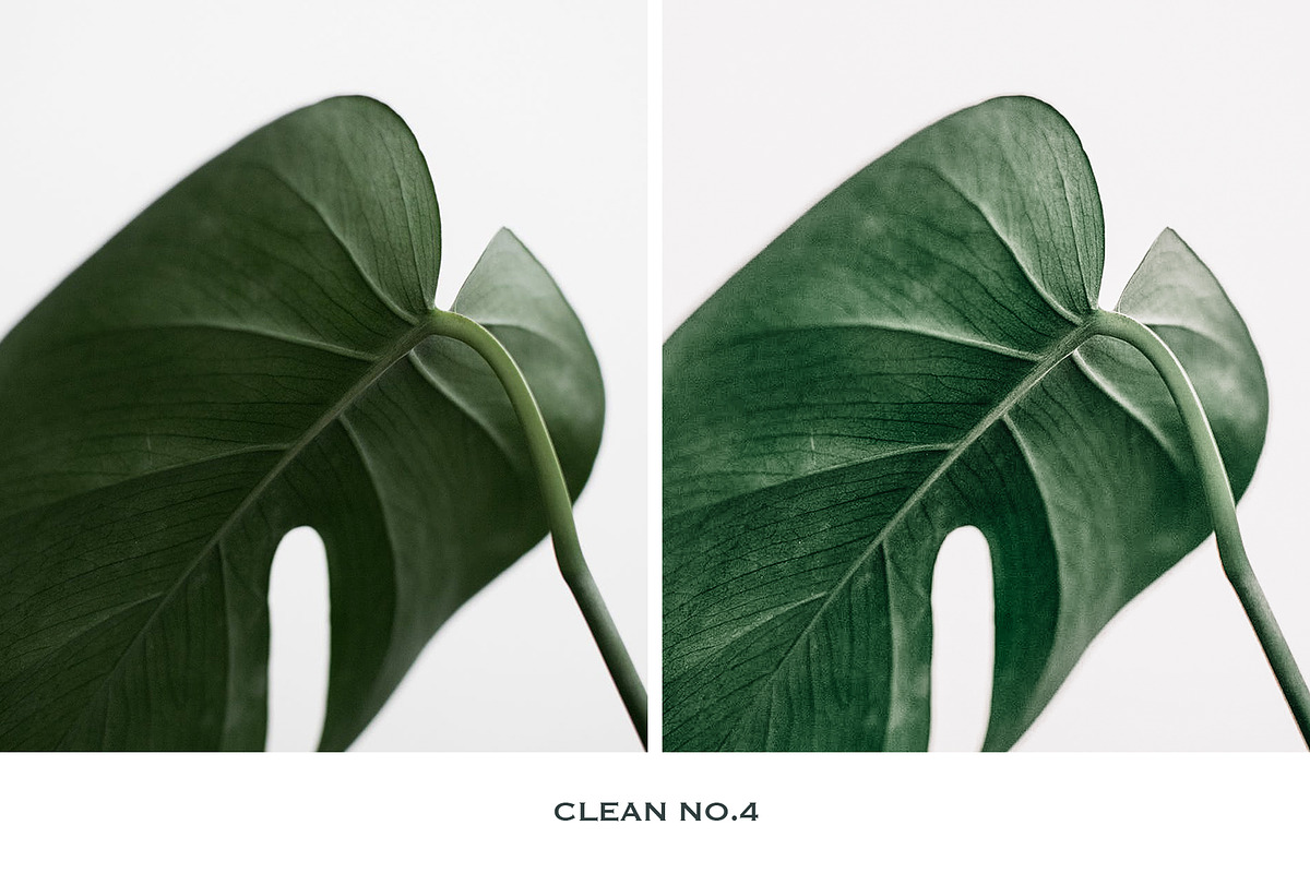 Clean Lightroom Presets Mobile, a Preset Add-On by VEER (Photo 10 of 11)