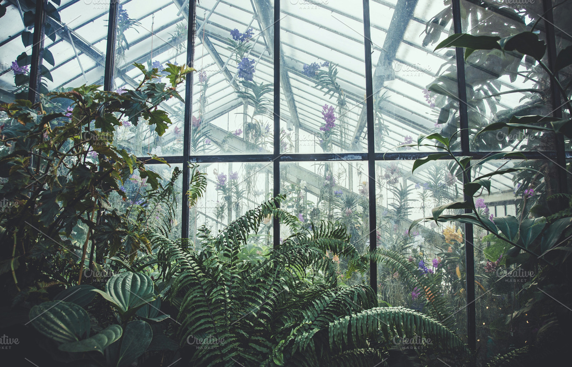 iseeyouphoto kew glasshouse 2, a Nature Photo by ISEEYOUPATTERN