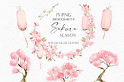 Sakura Season - Delicate watercolour, an Illustration by Olga Koelsch (Thumbnail 8 of 11)