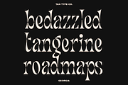 TAN - GEORGIA, a Serif Font by TanType (Thumbnail 5 of 8)