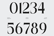 CS Abner – Elegant Serif Font, a Serif Font by Craft Supply Co. (Thumbnail 5 of 8)