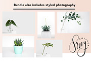 Social Media Bundle - Countdown, a Social Media Template by Savvy Collective Creative (Thumbnail 4 of 4)