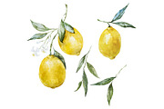 Watercolor lemons patterns, a Pattern Graphic by Lembrik's Artworks (Thumbnail 5 of 5)