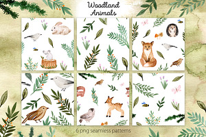 Woodland Animals. Patterns, Cliparts