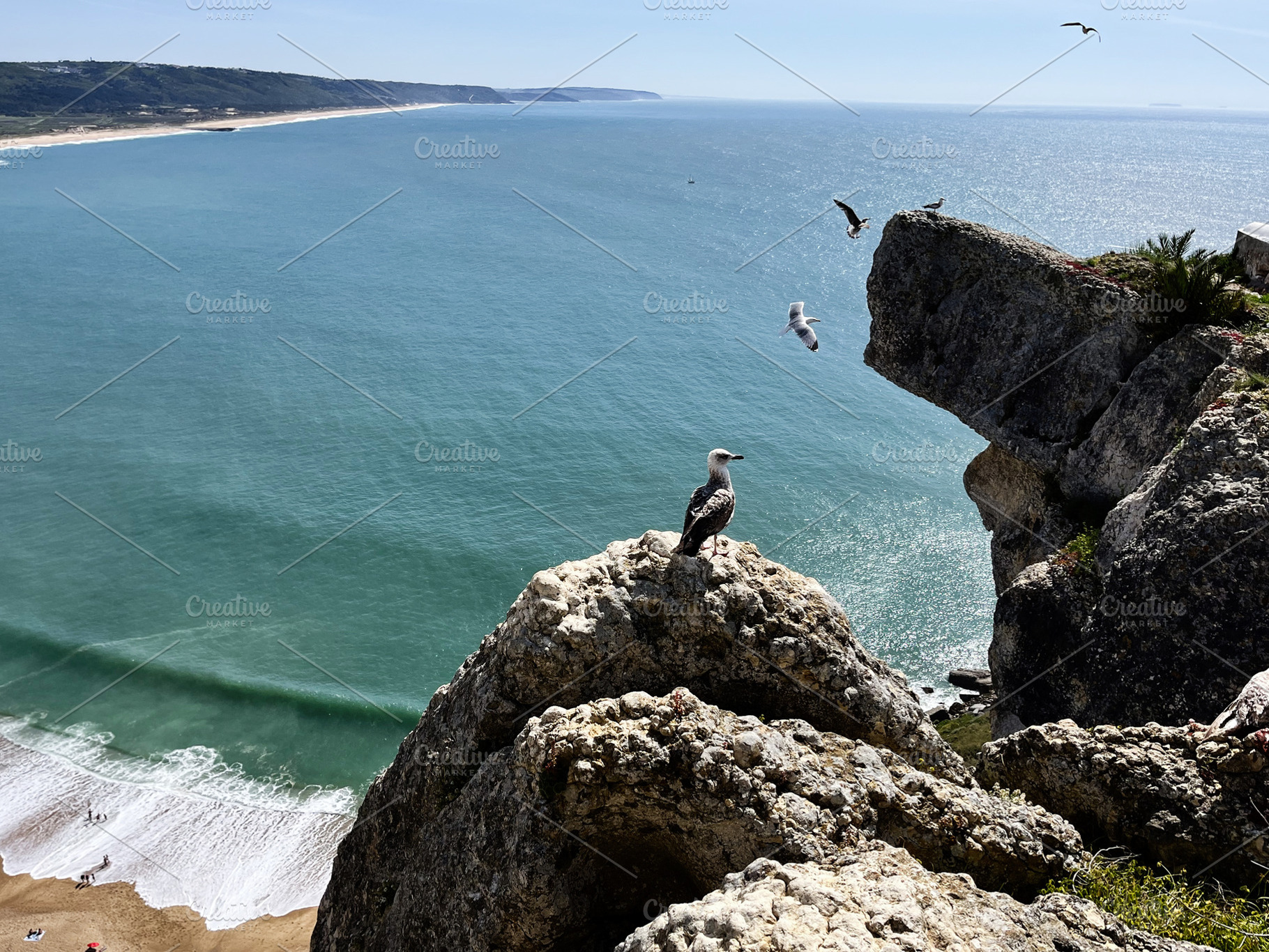 Seagulls resting on ocean cliff with scenic view of Nazare coast, Portugal, a Photo by AS photostudio