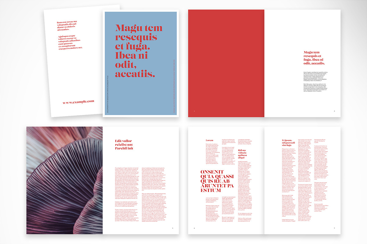Colorful Editorial Design, a Print Template by McLittle Stock (Photo 2 of 4)