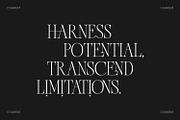 Chakem - Modern Ligature serif Font, a Serif Font by Issam Type (Thumbnail 3 of 12)