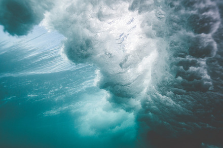 Underwater containing maui, hawaii, and aloha