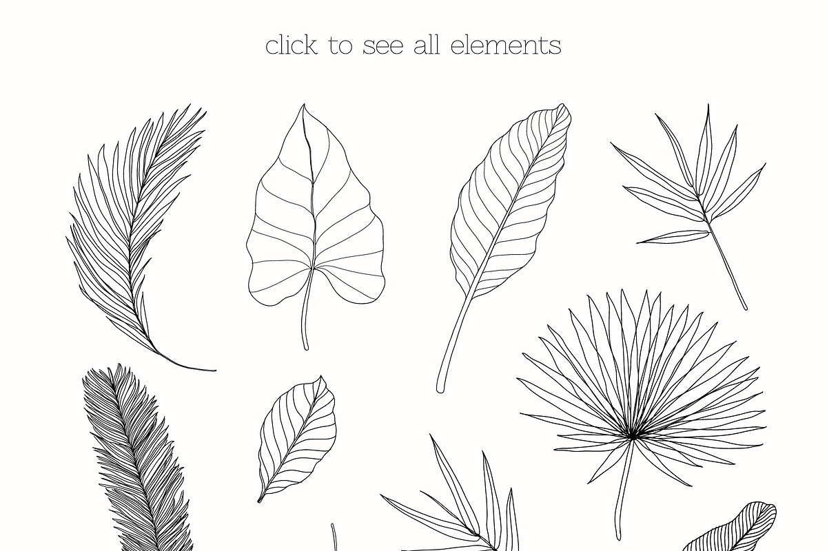 Line Art Tropical Leaves Clipart., an Illustration by ElenKoss (Photo 2 of 13)