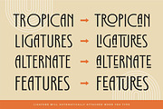 Tropican Display Sans, a Sans Serif Font by Letteralle Studios (Thumbnail 6 of 10)