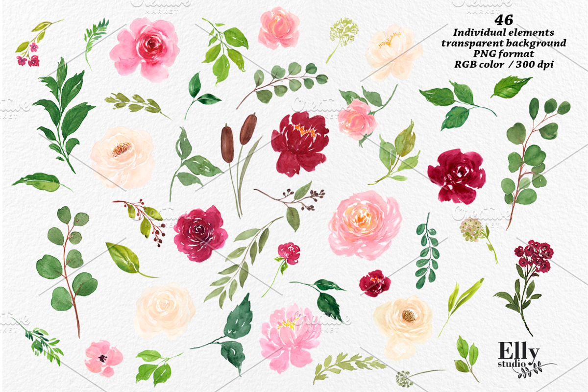 Watercolor Flower Graphic Set, a Decorative Illustration by Elly Studio (Photo 11 of 12)