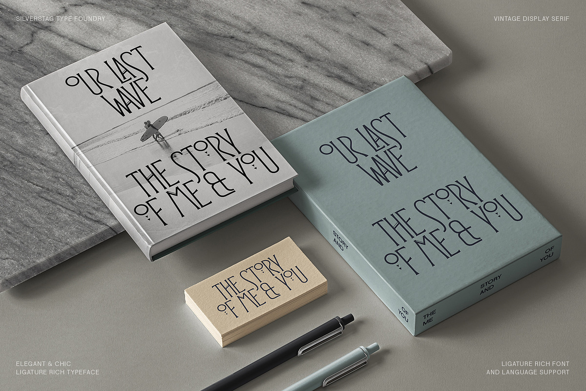 Reina Sofia - Vintage Display Serif, a Serif Font by SilverStag Type Foundry (Photo 25 of 30)