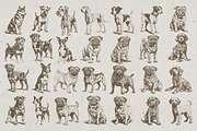 215 Dog Illustrations, an Animal Illustration by Nocturnal Wolf (Thumbnail 12 of 14)