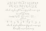 Wamoly - Luxury Script, a Script Font by tebaltipislab (Thumbnail 7 of 10)