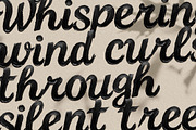 Brush Noire - Textured Hand Painted, a Font by AndrewPixelType (Thumbnail 4 of 7)