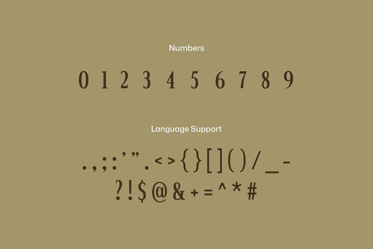 Nord Wood - Serif Display Font, a Serif Font by Studio Moara (Photo 2 of 8)