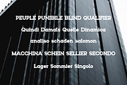 Tomony, a Serif Font by lelevien (Thumbnail 4 of 4)