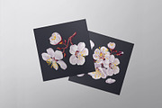 Apricot Branches Big Floral Set, an Illustration by MarynaPetrovska (Thumbnail 20 of 23)