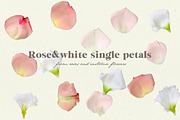 Collage box Paint&Petals, an Object Graphic by Anna's Creative Store (Thumbnail 3 of 12)