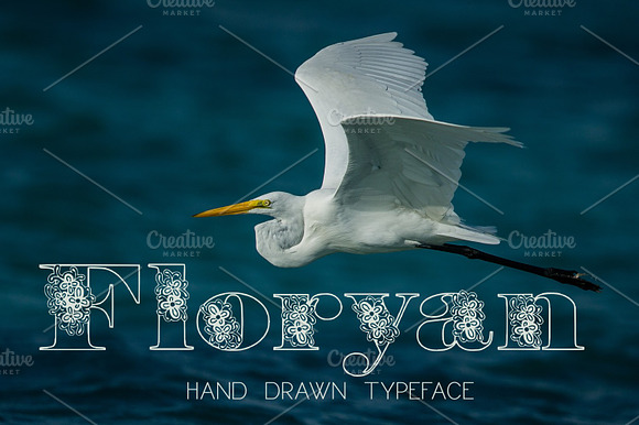 Floryan Font preview 6