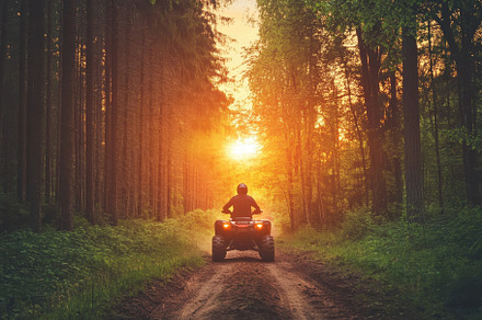 Riding an ATV on a forest trail duri, a Photo by Iftikhar Alam