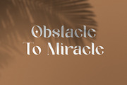 Geyster Modern/Vintage Font, a Serif Font by Lettertype Studio (Thumbnail 3 of 10)
