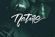 Basic Calligraphy Brushes, a Brush Add-On by DenBrush Studio (Thumbnail 6 of 6)