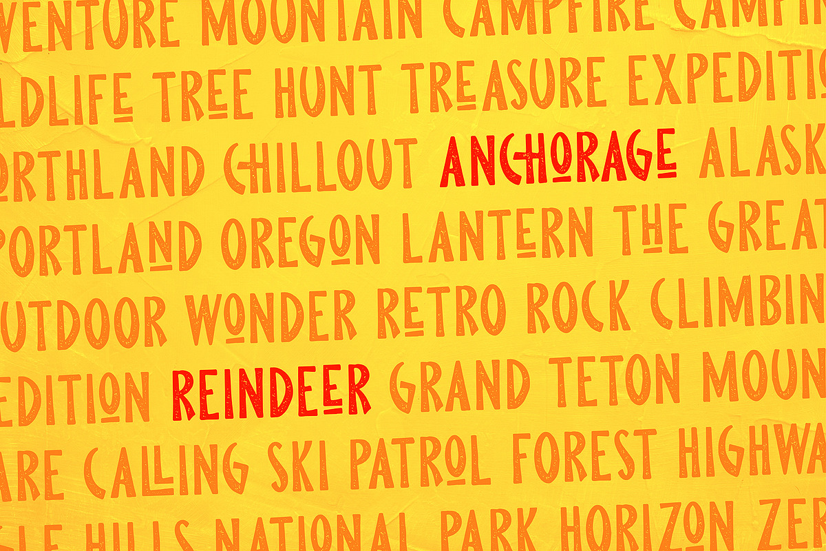 Pine Forest - Outdoor Typeface preview 3