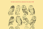 Colorful owls: Seamless pattern, an Animal Illustration by Volga_Store (Thumbnail 6 of 10)