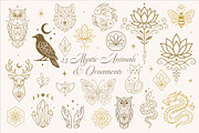 Mystic Lotus & Moon Ornaments, an Object Graphic by Christine Krahl (Thumbnail 14 of 16)