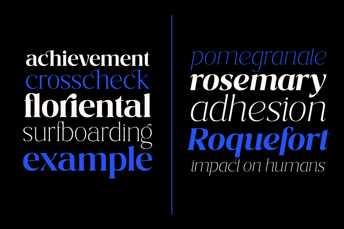 Costaline Font Family| Sale 40%, a Serif Font by Megatype (Photo 4 of 15)