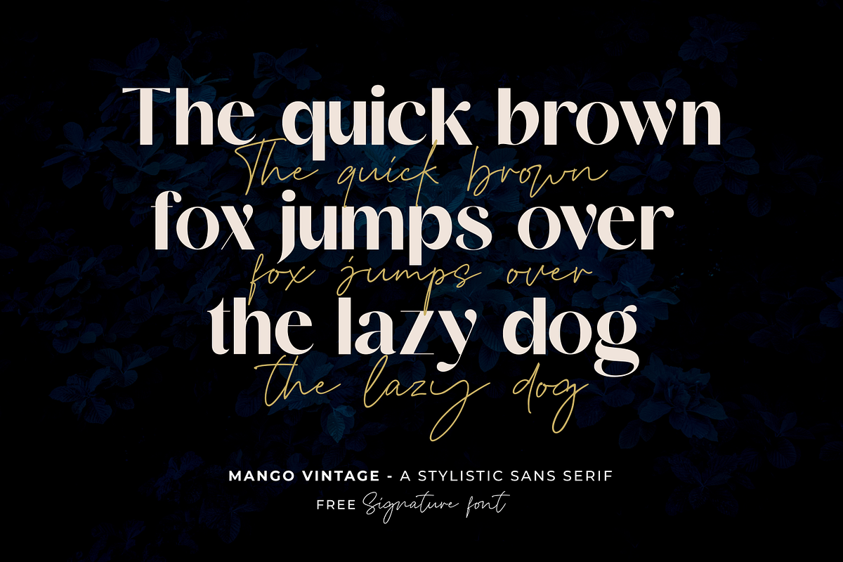 Mango Vintage Free Signature Font, a Sans Serif Font by zeenesia (Photo 3 of 16)