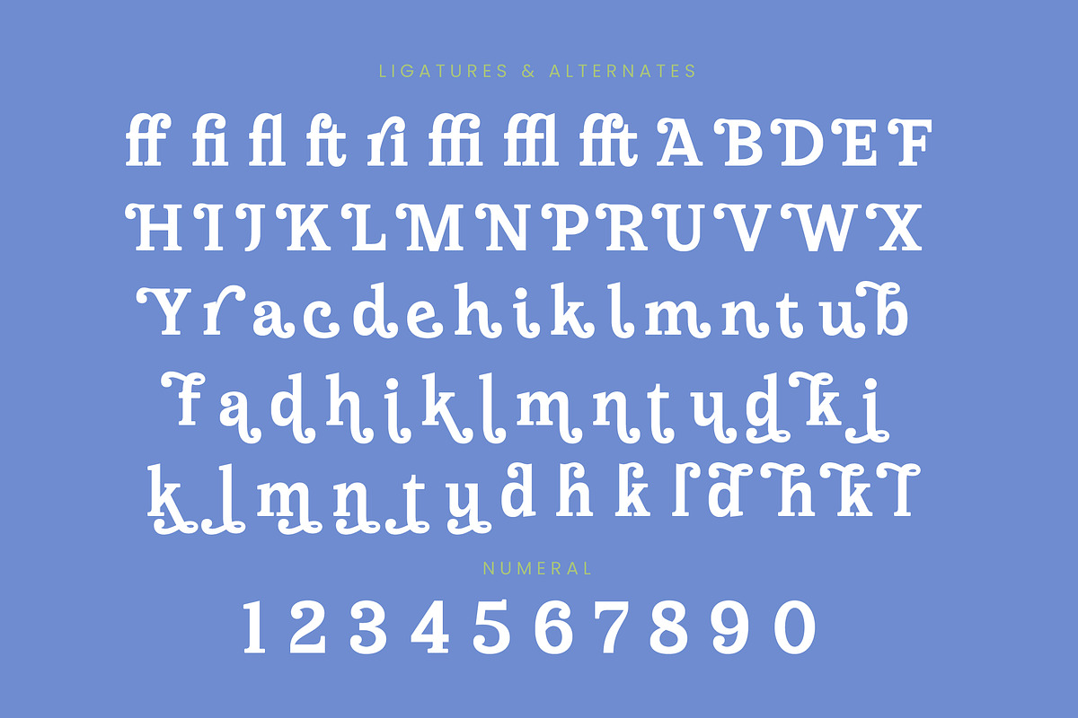 Meridi Rolitud Modern Serif Font, a Serif Font by timelesstype.co (Photo 18 of 20)