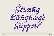 Starz TM – Sparkle Font, a Script Font by Type Mania (Thumbnail 9 of 12)